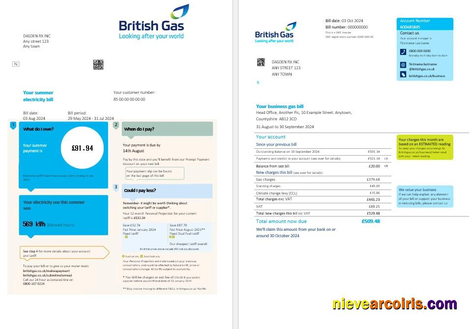 United Kingdom British Gas business utility bill